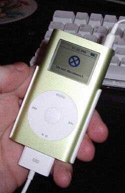 My iPod Mini with a custom icon